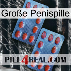 Große Penispille 05